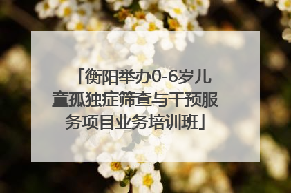 衡阳举办0-6岁儿童孤独症筛查与干预服务项目业务培训班