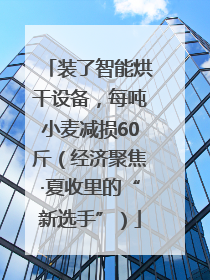 装了智能烘干设备，每吨小麦减损60斤（经济聚焦·夏收里的“新选手”）