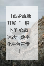 西乡流塘开展“一键下单·心愿速达”数字化平台宣传