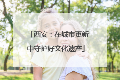 西安：在城市更新中守护好文化遗产