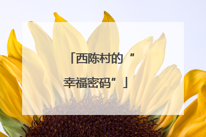 西陈村的“幸福密码”