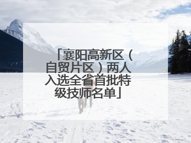 襄阳高新区（自贸片区）两人入选全省首批特级技师名单