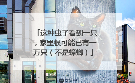 这种虫子看到一只，家里很可能已有一万只（不是蟑螂）