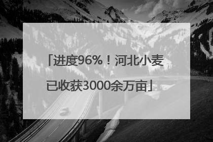 进度96%！河北小麦已收获3000余万亩