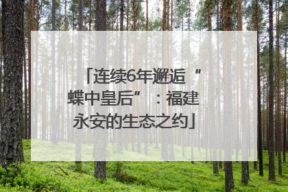 连续6年邂逅“蝶中皇后”：福建永安的生态之约