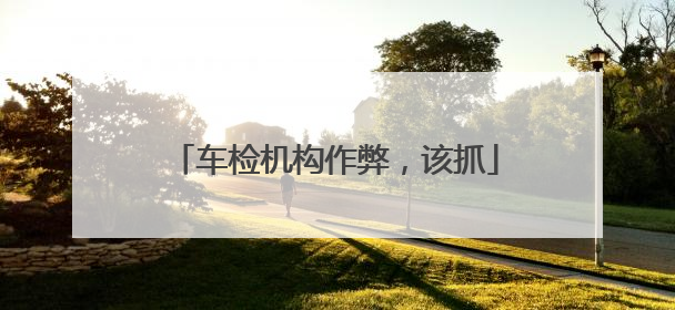 车检机构作弊，该抓