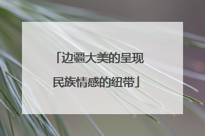 边疆大美的呈现 民族情感的纽带