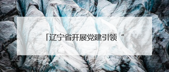 辽宁省开展党建引领“专业社工+志愿服务”融合试点社区建设培训