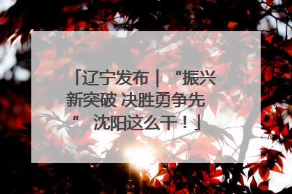 辽宁发布｜“振兴新突破 决胜勇争先” 沈阳这么干！