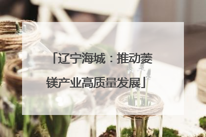 辽宁海城：推动菱镁产业高质量发展