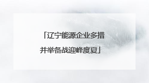 辽宁能源企业多措并举备战迎峰度夏