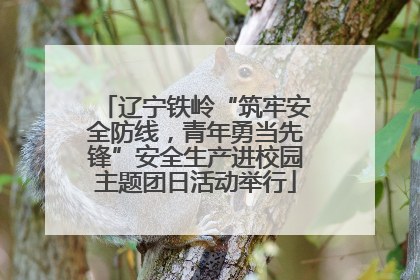 辽宁铁岭“筑牢安全防线，青年勇当先锋”安全生产进校园主题团日活动举行