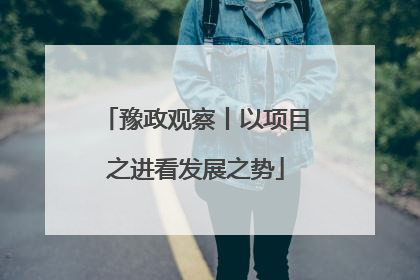 豫政观察丨以项目之进看发展之势