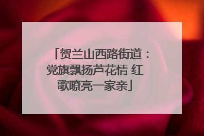 贺兰山西路街道：党旗飘扬芦花情 红歌嘹亮一家亲