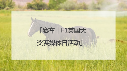 赛车｜F1英国大奖赛媒体日活动