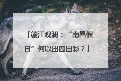 赣江观澜：“南昌假日”何以出圈出彩？