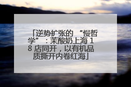 逆势扩张的 “慢哲学”：茉酸奶上海 18 店同开，以有机品质撕开内卷红海