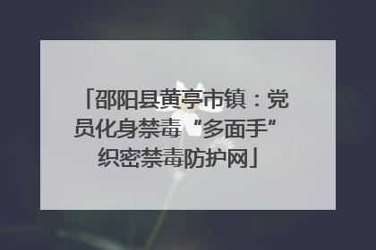 邵阳县黄亭市镇：党员化身禁毒“多面手” 织密禁毒防护网
