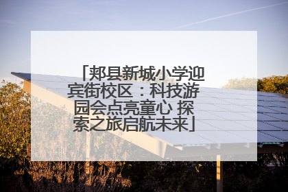 郏县新城小学迎宾街校区：科技游园会点亮童心 探索之旅启航未来