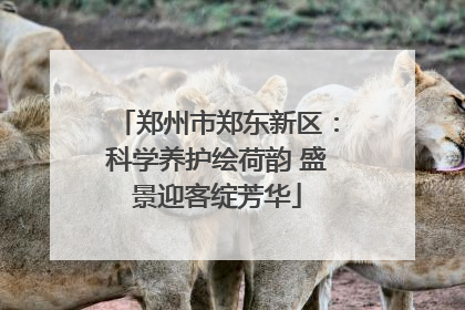 郑州市郑东新区：科学养护绘荷韵 盛景迎客绽芳华