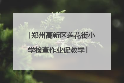 郑州高新区莲花街小学检查作业促教学