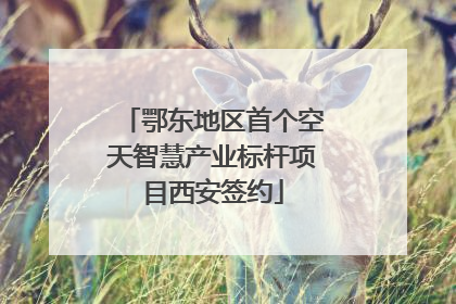 鄂东地区首个空天智慧产业标杆项目西安签约