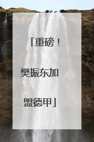 重磅！樊振东加盟德甲