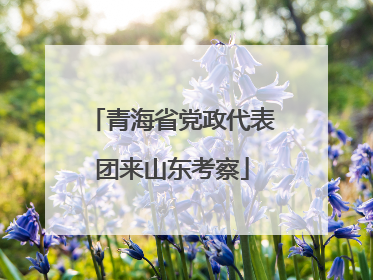 青海省党政代表团来山东考察