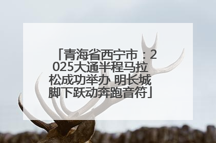 青海省西宁市：2025大通半程马拉松成功举办 明长城脚下跃动奔跑音符