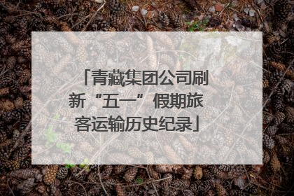 青藏集团公司刷新“五一”假期旅客运输历史纪录