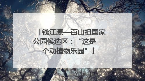 钱江源—百山祖国家公园候选区：“这是一个动植物乐园”