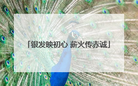 银发映初心 薪火传赤诚