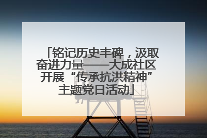 铭记历史丰碑，汲取奋进力量——大成社区开展“传承抗洪精神”主题党日活动