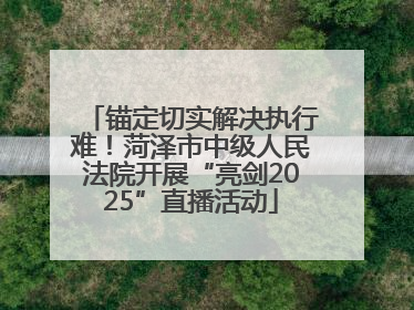 锚定切实解决执行难！菏泽市中级人民法院开展“亮剑2025”直播活动