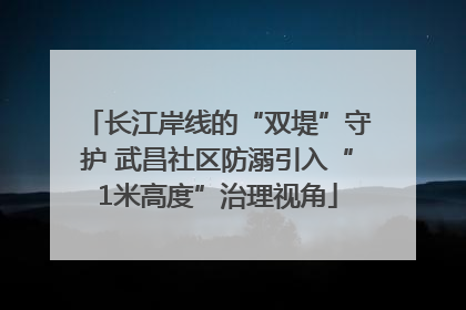 长江岸线的“双堤”守护 武昌社区防溺引入“1米高度”治理视角