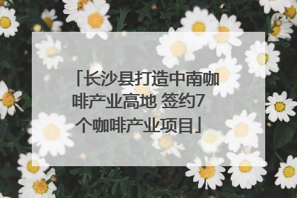 长沙县打造中南咖啡产业高地 签约7个咖啡产业项目