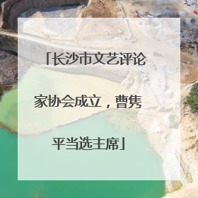 长沙市文艺评论家协会成立，曹隽平当选主席