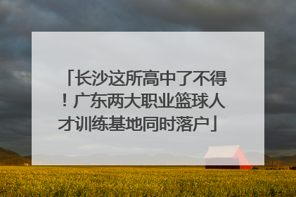 长沙这所高中了不得！广东两大职业篮球人才训练基地同时落户