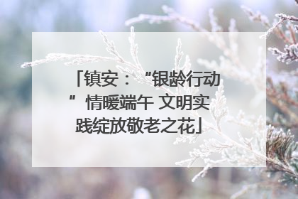 镇安：“银龄行动”情暖端午 文明实践绽放敬老之花