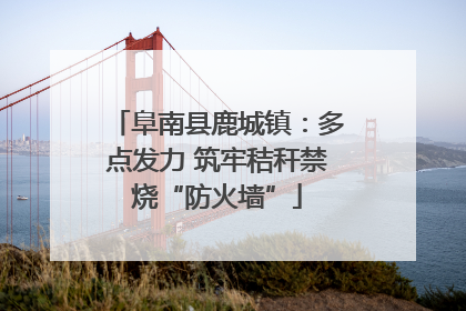 阜南县鹿城镇：多点发力 筑牢秸秆禁烧“防火墙”