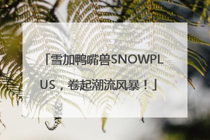 雪加鸭嘴兽SNOWPLUS，卷起潮流风暴！
