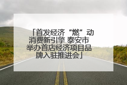 首发经济“燃”动消费新引擎 泰安市举办首店经济项目品牌入驻推进会
