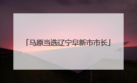 马原当选辽宁阜新市市长