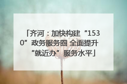 齐河：加快构建“1530”政务服务圈 全面提升“就近办”服务水平