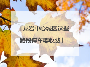 龙岩中心城区这些路段停车要收费