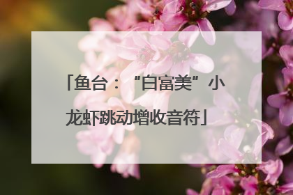 鱼台：“白富美”小龙虾跳动增收音符