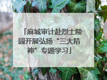 麻城审计赴烈士陵园开展弘扬“三大精神”专题学习