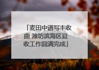 麦田中谱写丰收曲 潍坊滨海区夏收工作圆满完成