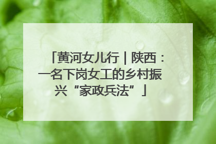 黄河女儿行｜陕西：一名下岗女工的乡村振兴“家政兵法”