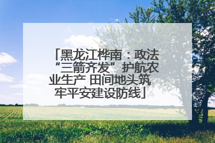 黑龙江桦南：政法“三箭齐发”护航农业生产 田间地头筑牢平安建设防线